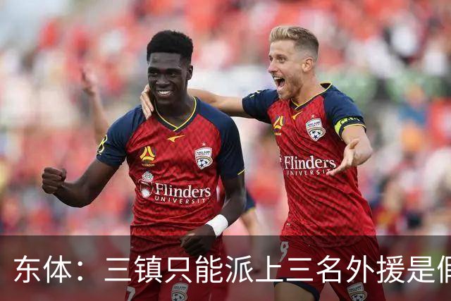 东体：三镇只能派上三名外援是假消息 于根伟边直播边看球